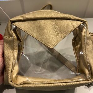 Chic Gold Clear Crossbody Bag